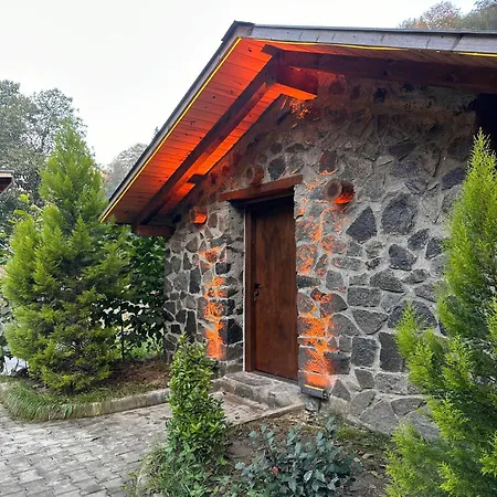 Letastonehouse